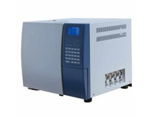 Gas chromatographic analyzer