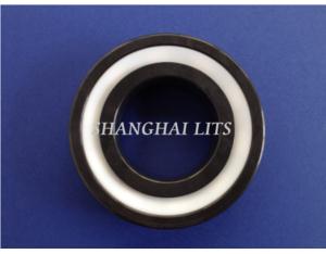 LITS Ceramic Deep Groove Bearings Si3N4(with PTFE Seals)