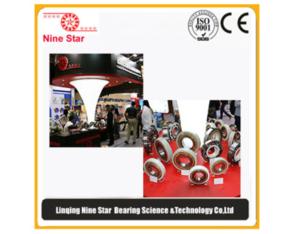 6316m.c3.J20C insulated bearing manufacturer