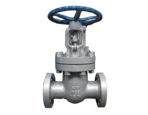 600lb wcb gate valve
