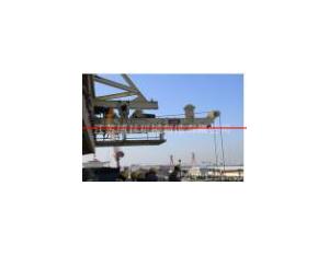 High quality supply of imported marine crane hoist
