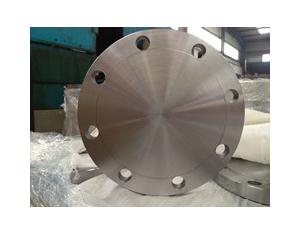 Forged flanges 