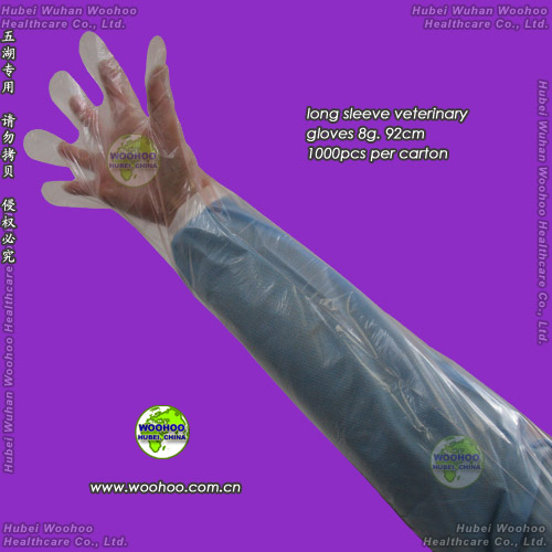 Hubei Woohoo Healthcare Co., Ltd.