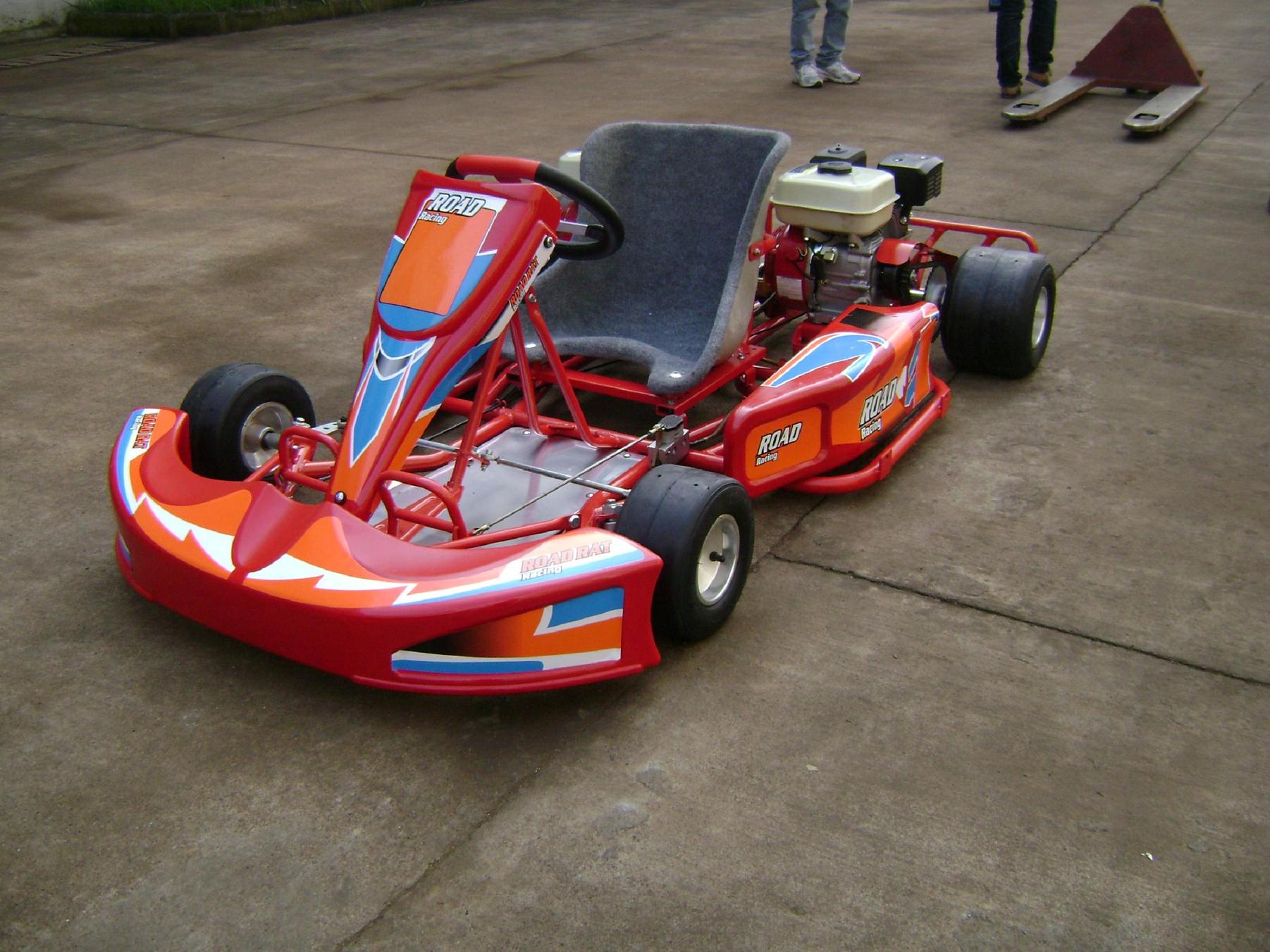 Two Engine Racing Go Kart Sx G1101 D