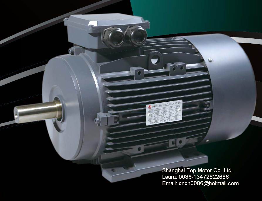 Ms Series Three Phase Asynchronous Motors 8591